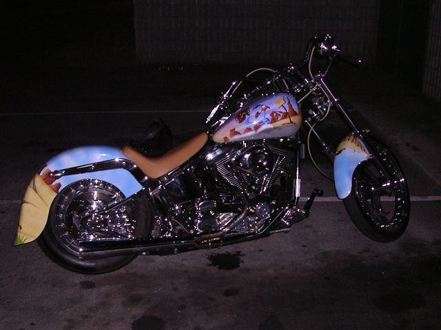 DSCN0063.JPG
Custom Harley