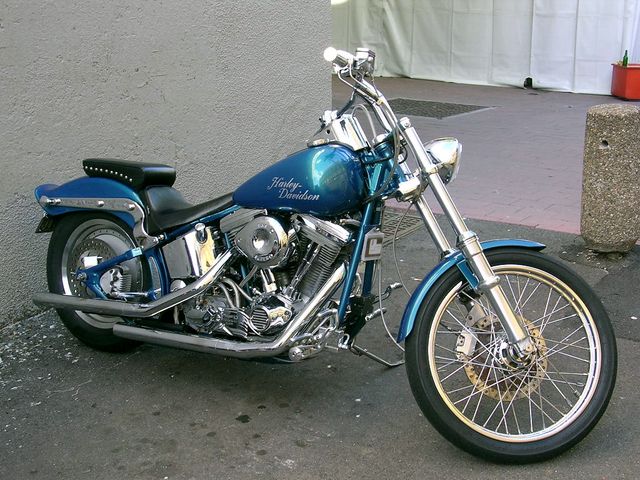 DSCN0434.JPG
Custom Harley