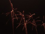 DSCN0317.JPG
Fireworks