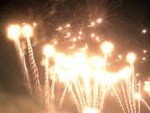 DSCN0319.JPG
Fireworks