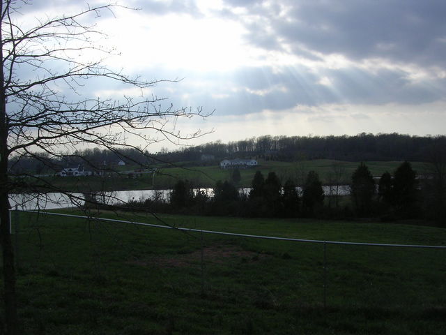 DSCN1787.JPG
West (pond) yard view