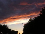 DSCN1334.JPG
Clouds near sunset
