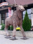 DSCN2013.JPG
Huge wooden moose!