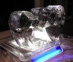 DSCN3102.JPG
Ice sculpture