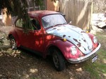 DSCN0740.JPG
VW Beetle front