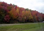 DSCN2729.JPG
Fall foliage (TN)