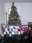 DSCN2754.JPG
Christmas tree/x-pen (card-side view)