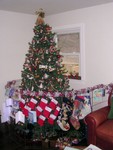 DSCN2755.JPG
Christmas tree/x-pen (stocking-side view)