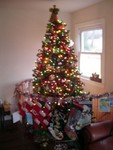 DSCN2758.JPG
Christmas tree/x-pen (no flash)