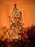 DSCN2766.JPG
Christmas tree/x-pen (night, no flash)
