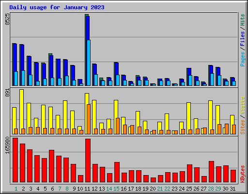 Daily usage for January 2023