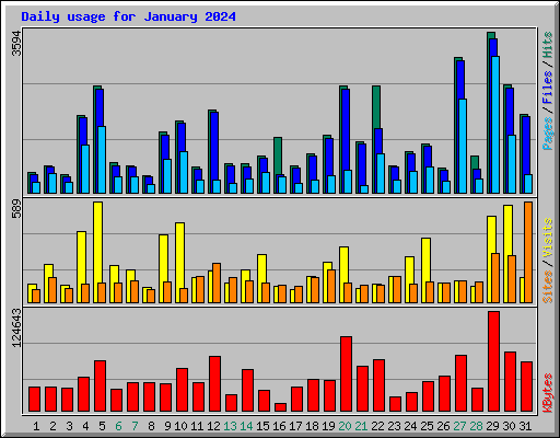 Daily usage for January 2024