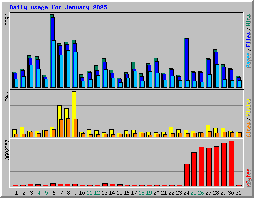 Daily usage for January 2025