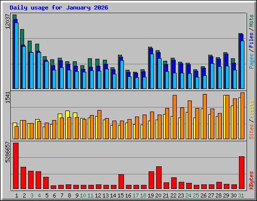 Daily usage for January 2026
