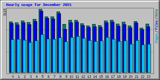 Hourly usage for December 2021