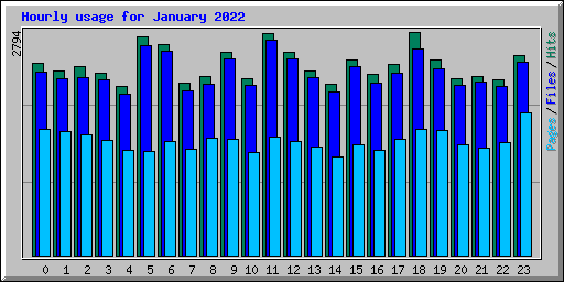 Hourly usage for January 2022