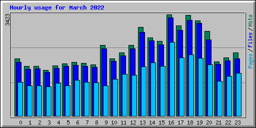 Hourly usage for March 2022