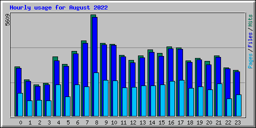 Hourly usage for August 2022