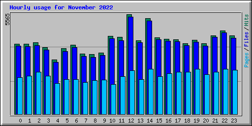 Hourly usage for November 2022