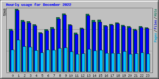 Hourly usage for December 2022