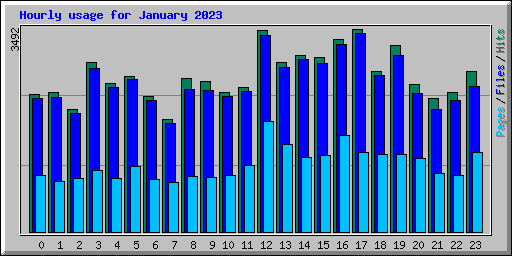 Hourly usage for January 2023