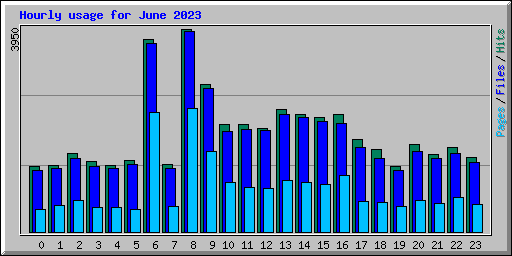 Hourly usage for June 2023