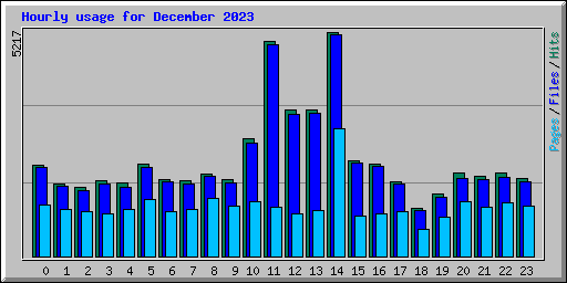 Hourly usage for December 2023