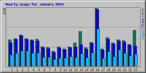 Hourly usage for January 2024