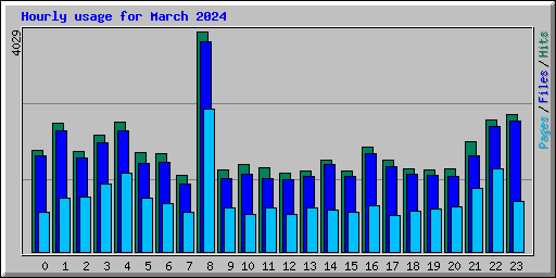 Hourly usage for March 2024