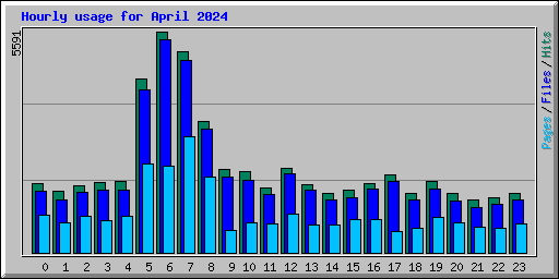 Hourly usage for April 2024