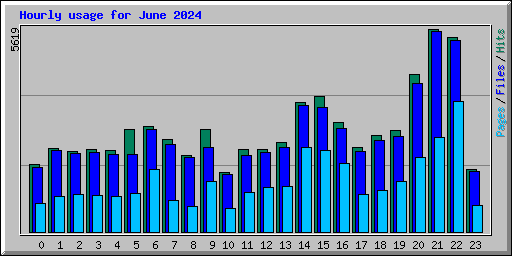 Hourly usage for June 2024