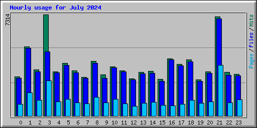 Hourly usage for July 2024