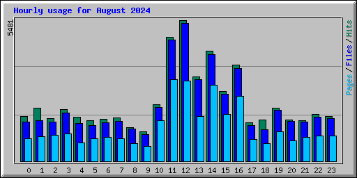 Hourly usage for August 2024