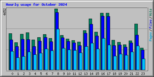 Hourly usage for October 2024