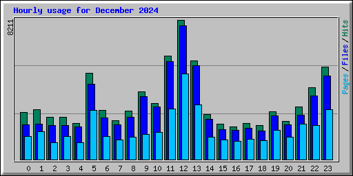 Hourly usage for December 2024