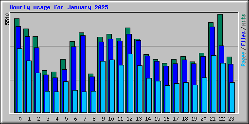 Hourly usage for January 2025