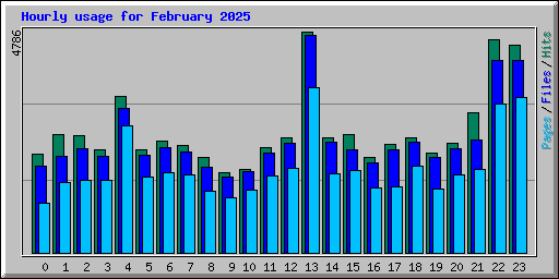 Hourly usage for February 2025