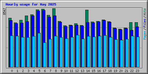 Hourly usage for May 2025
