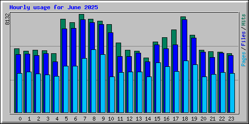 Hourly usage for June 2025