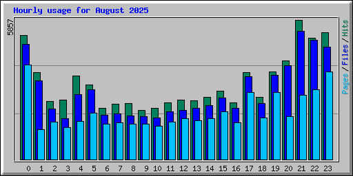 Hourly usage for August 2025