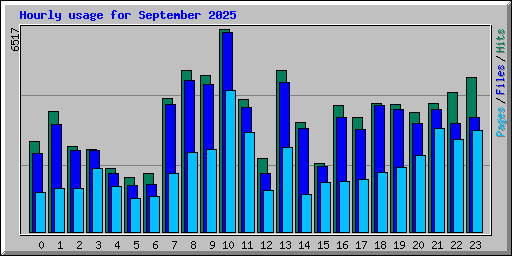 Hourly usage for September 2025