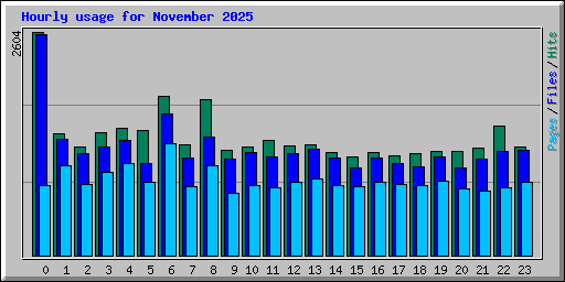 Hourly usage for November 2025