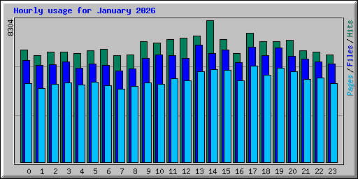 Hourly usage for January 2026