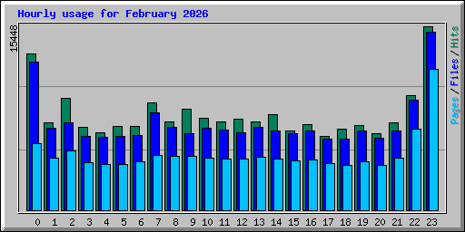 Hourly usage for February 2026