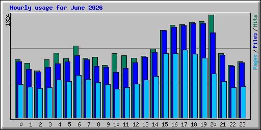 Hourly usage for June 2026
